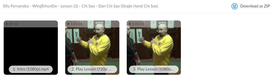 WingTchunDo - Lesson 21 - Chi Sao - Dan Chi Sao (Single Hand Chi Sao)