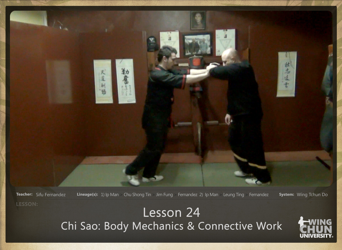 WingTchunDo - Lesson 24 - Chi Sao - Body Mechanics & Connective Work