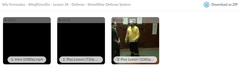 WingTchunDo - Lesson 34 - Defense - StreetWise Defense System