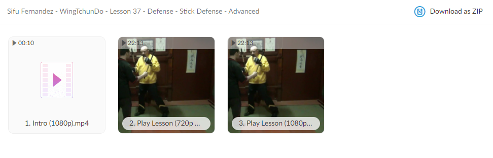 WingTchunDo - Lesson 37 - Defense - Stick Defense - Advanced