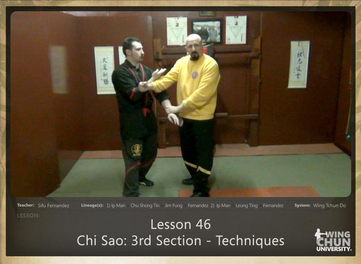 WingTchunDo - Lesson 46 - Chi Sao - 3rd Section - Techniques