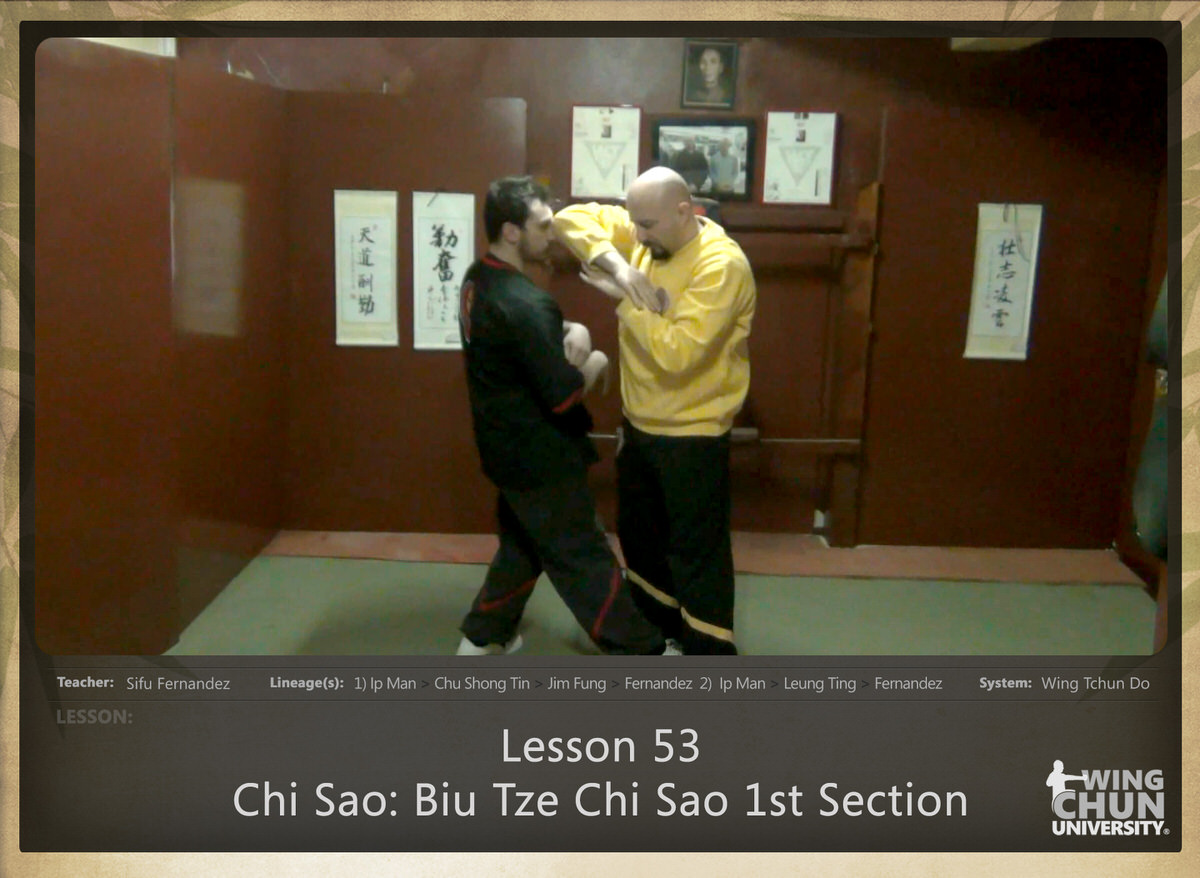 WingTchunDo - Lesson 53 - Chi Sao - Biu Tze Chi Sao 1st Section