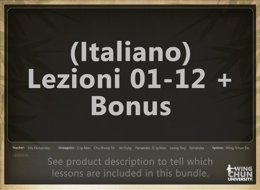 WingTchunDo – Lezioni 01–12 + Bonus