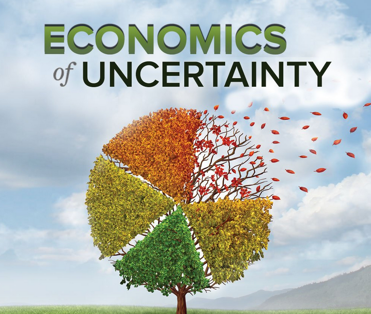 Connel Fullenkamp - Economics Of Uncertainty