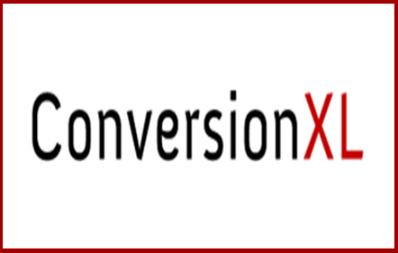 Conversion Coaching Program - ConversionXL - Peep Laja