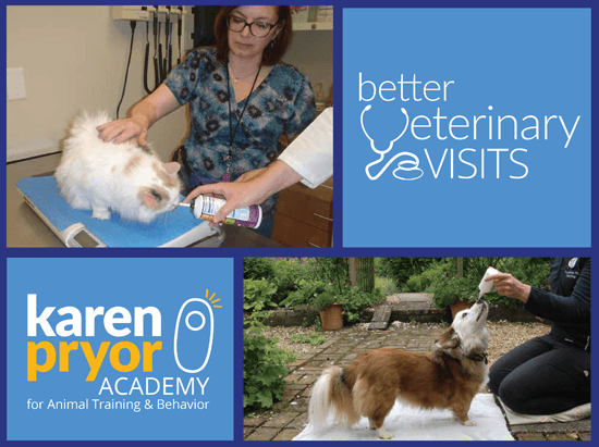 Karen Pryor Academy - Better Veterinary Visits