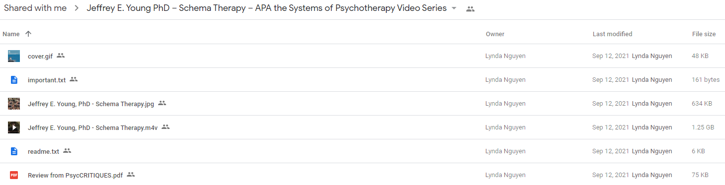  Jeffrey E. Young PhD – Schema Therapy – APA the Systems of Psychotherapy Video Series