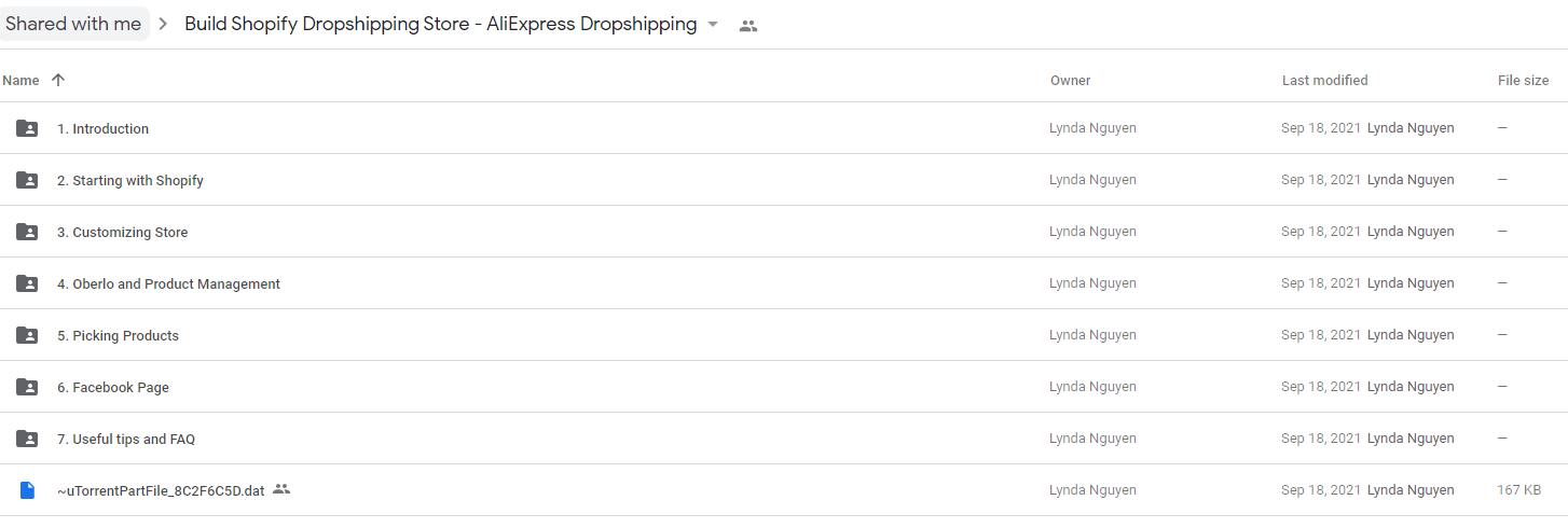 Build Shopify Dropshipping Store – AliExpress Dropshipping