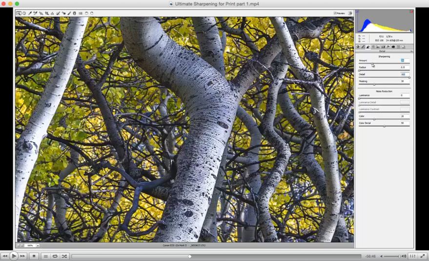 Mark Metternich – Ultimate Sharpening Workflow for Fine Art Printing 