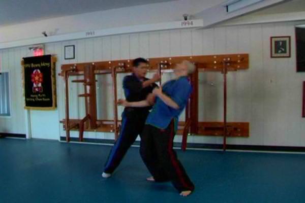 Shaolin Wing Chun Series Level 1 Vol 2