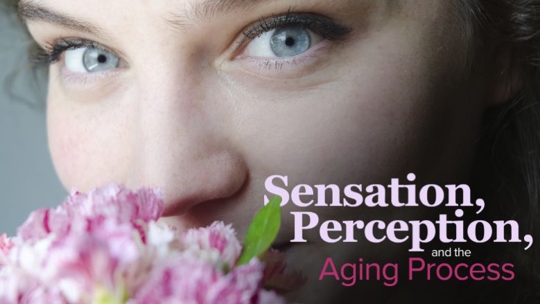 TTC Video - Sensation, Perception, and the Aging Process ( Compressed )1