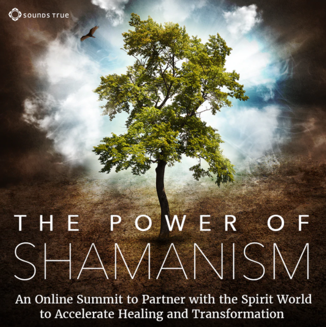 VARIOUS PRESENTERS – The Power of Shamanism1