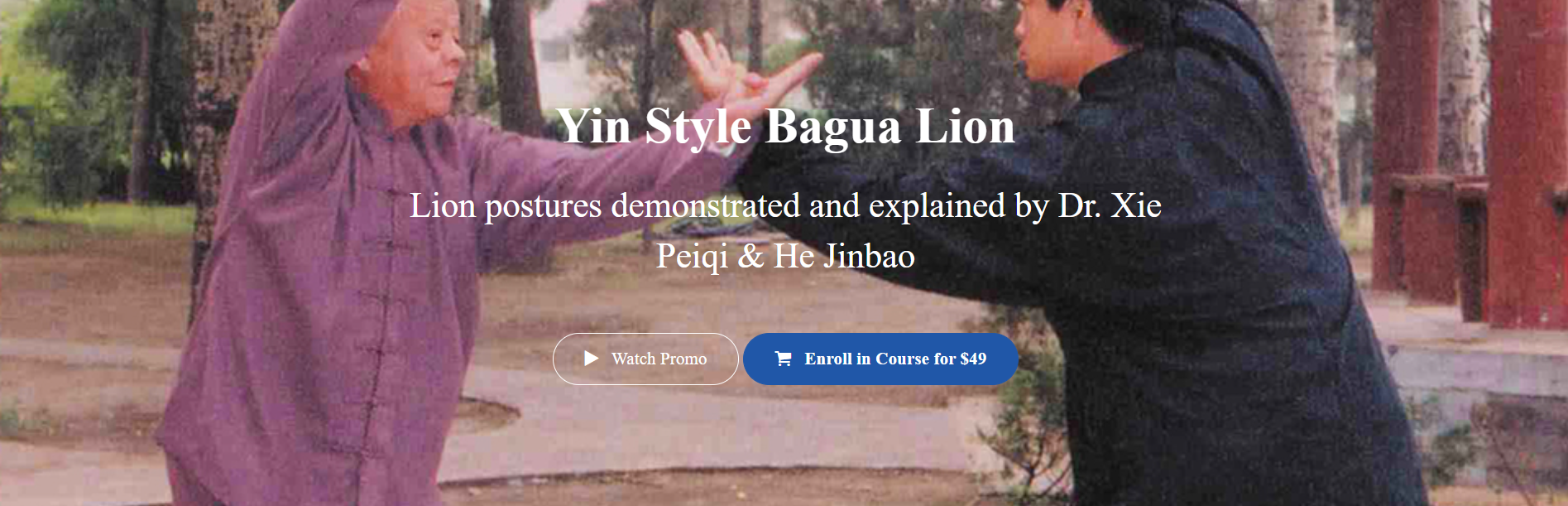 Xie Pieqi - Yin Style Bagua Lion1