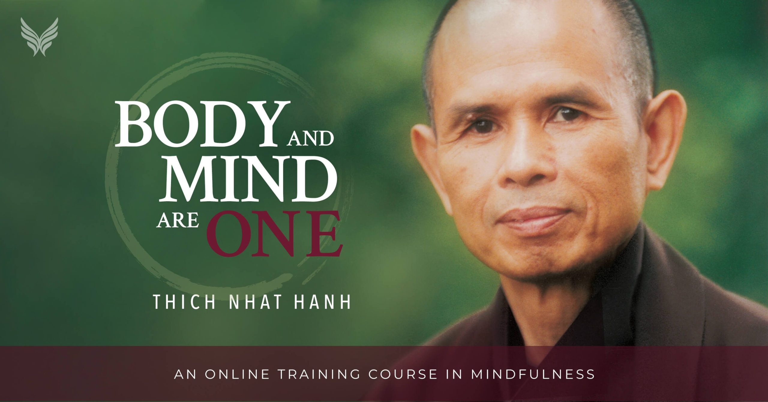 Zen Master Thich Nhat Hanh - Body and Mind Are One1