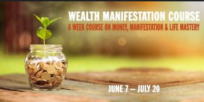 Kristopher Dillard - Wealth Manifestation Course 2020