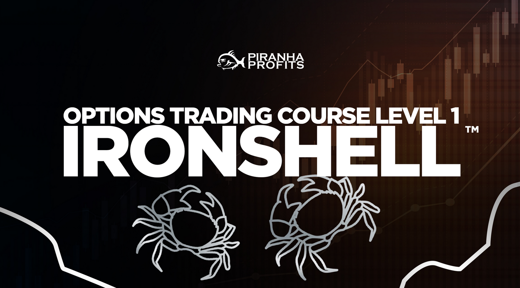  Adam Khoo – Options Trading Course Level 1: Options Ironshell