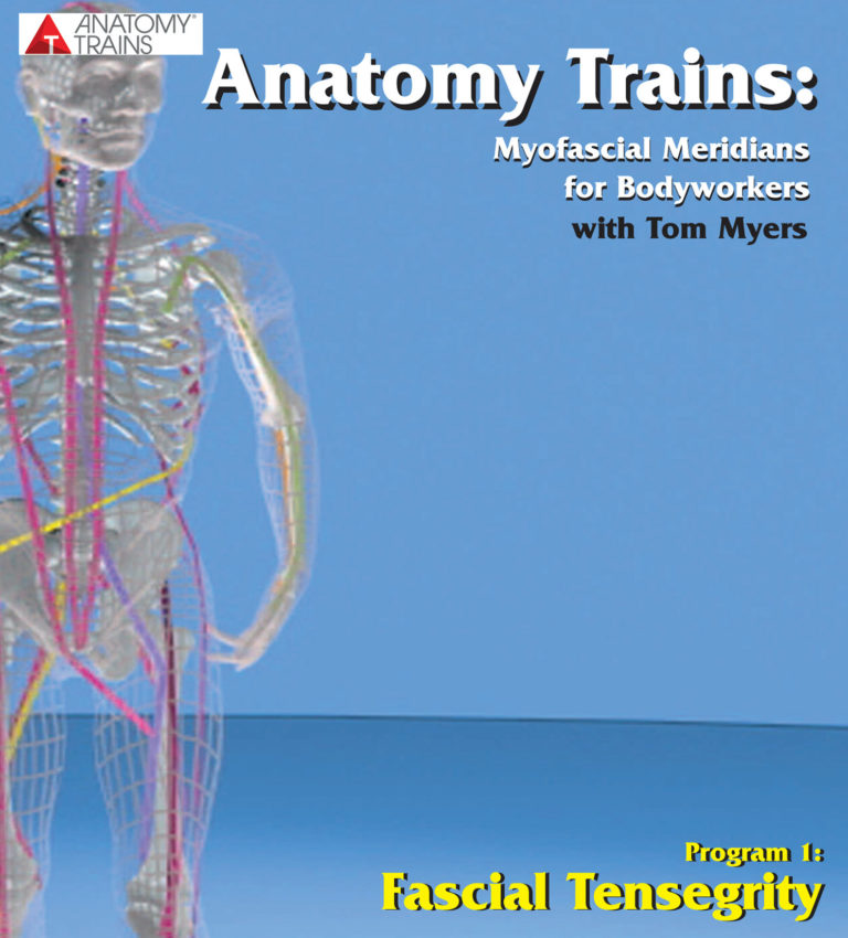 Tom Myers - Anatomy Trains Fascial Tensegrity1